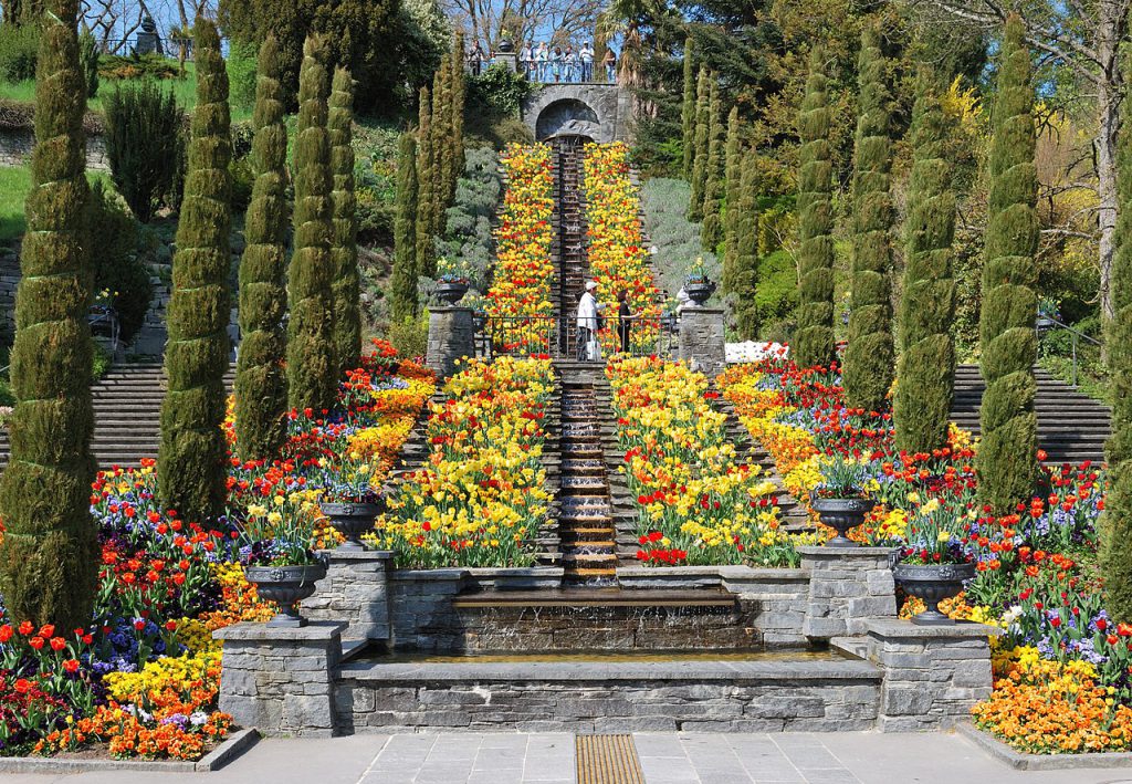 Insel Mainau Wassertreppe WikimediaCommons