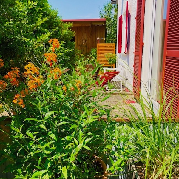 Blick auf die Süd-Terrasse mit Zugang vom Wohnzimmer