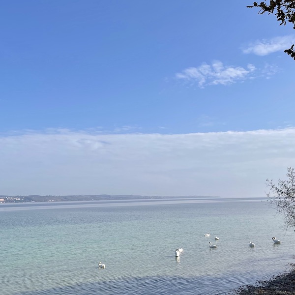 Bodenseeufer mit türkisblauem Wasser