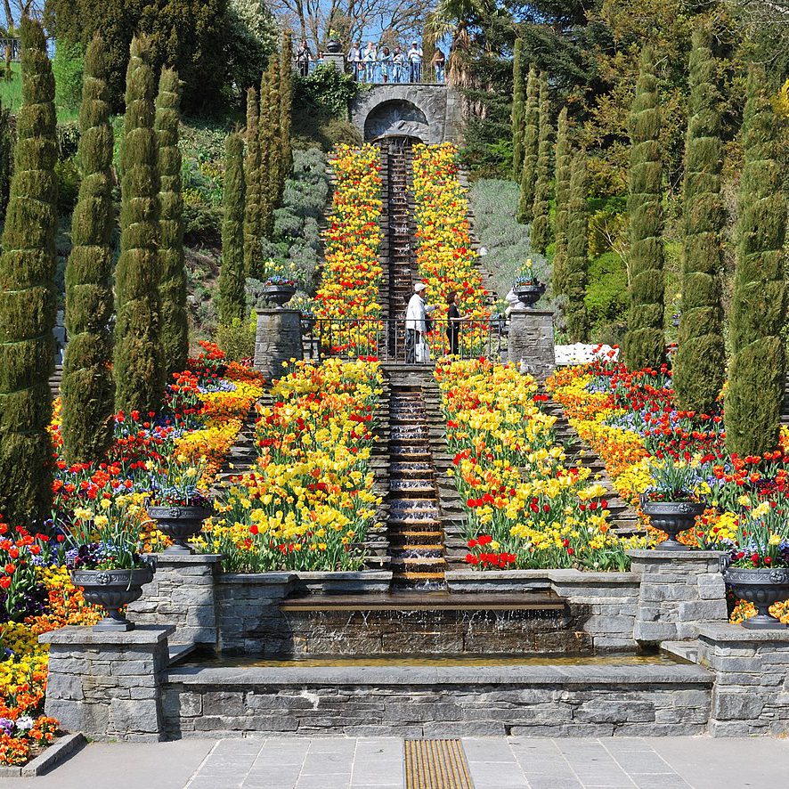 Insel Mainau Wassertreppe WikimediaCommons